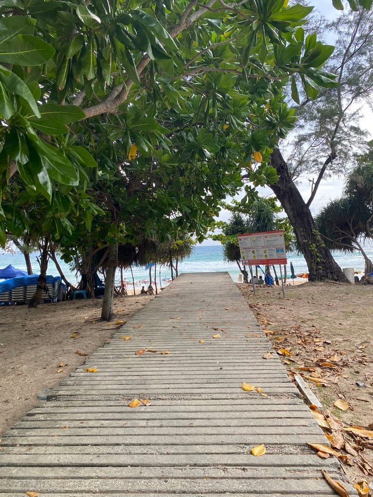 A boardwalk running out through casuarina trees onto Karon beach, with loungers under the trees and surf breaking beyond