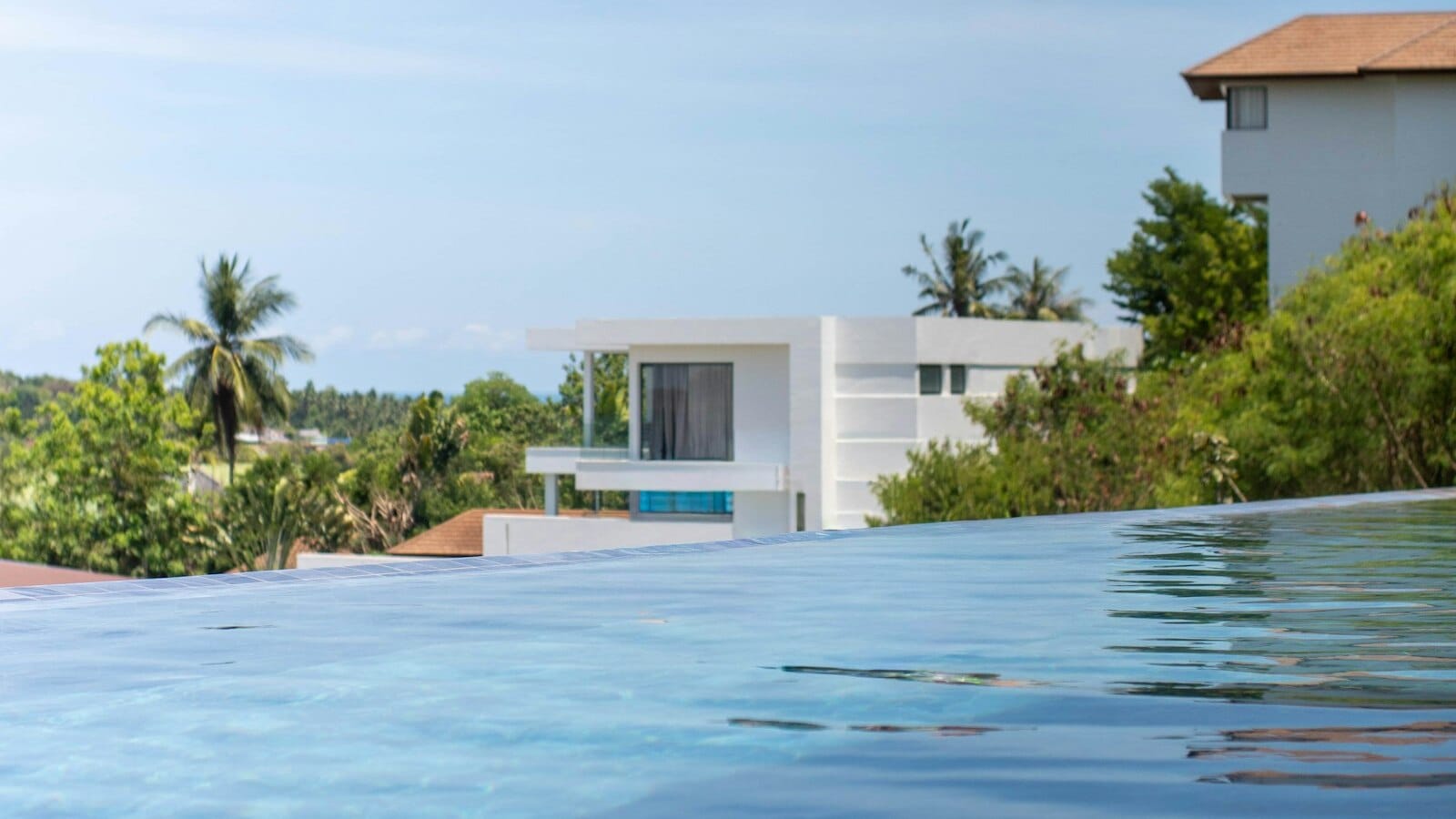 An infinity pool edge with a white modern low-rise building, palms and tropical greenery behind it